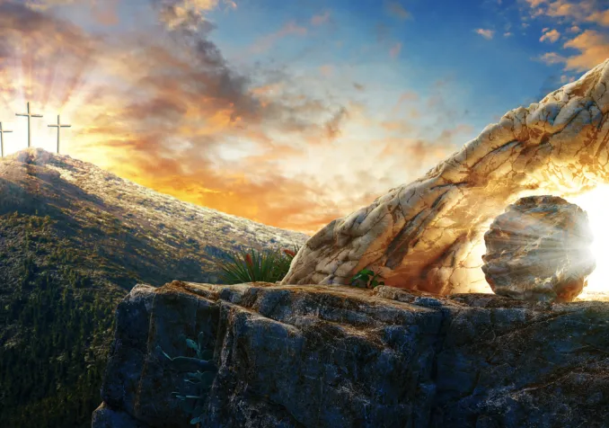 ©iStock/AlessandroPhoto