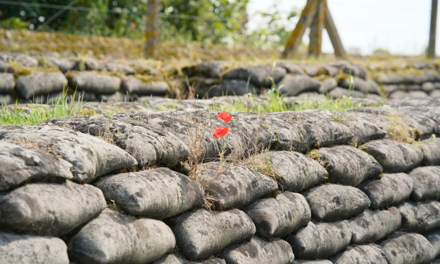 ©iStock/GS Photography