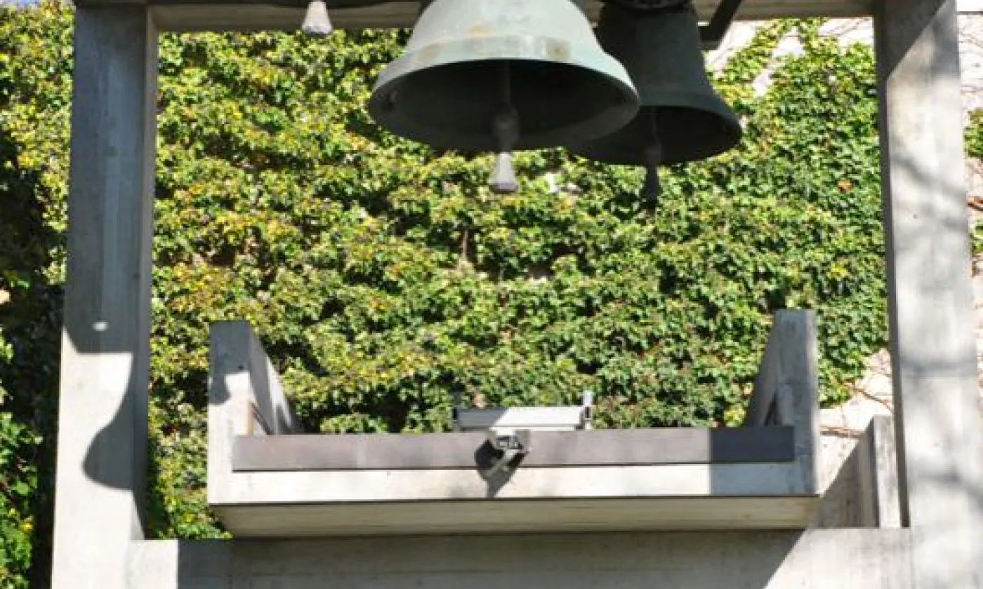 Alexandra Urfer Jungen