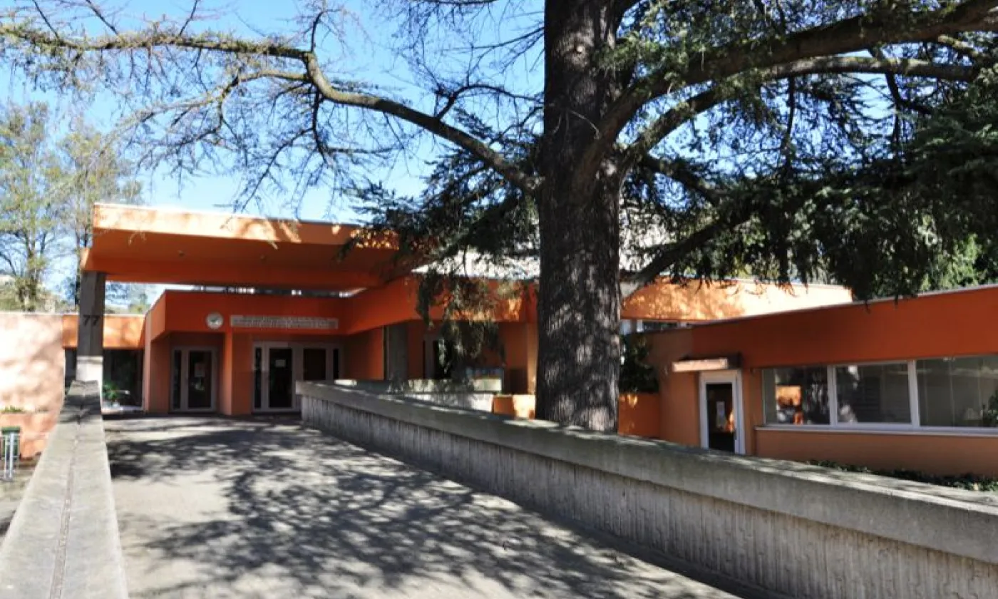 Alexandra Urfer Jungen