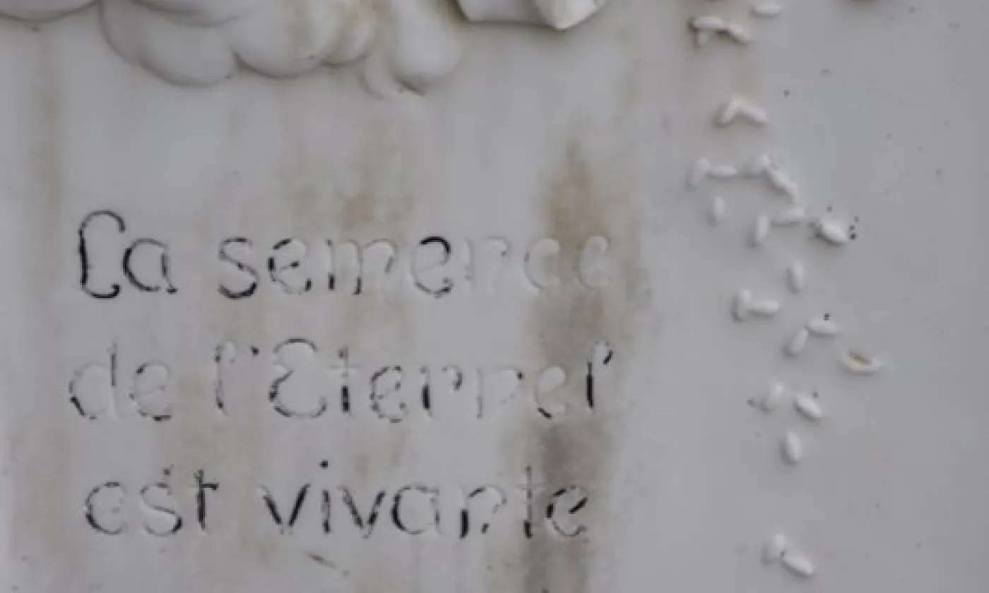 Alexandra Urfer Jungen